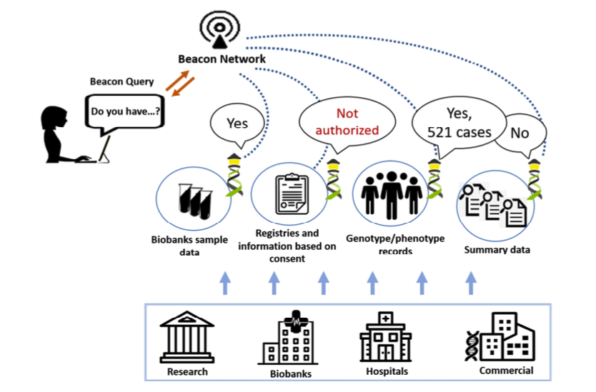 Beacon Network