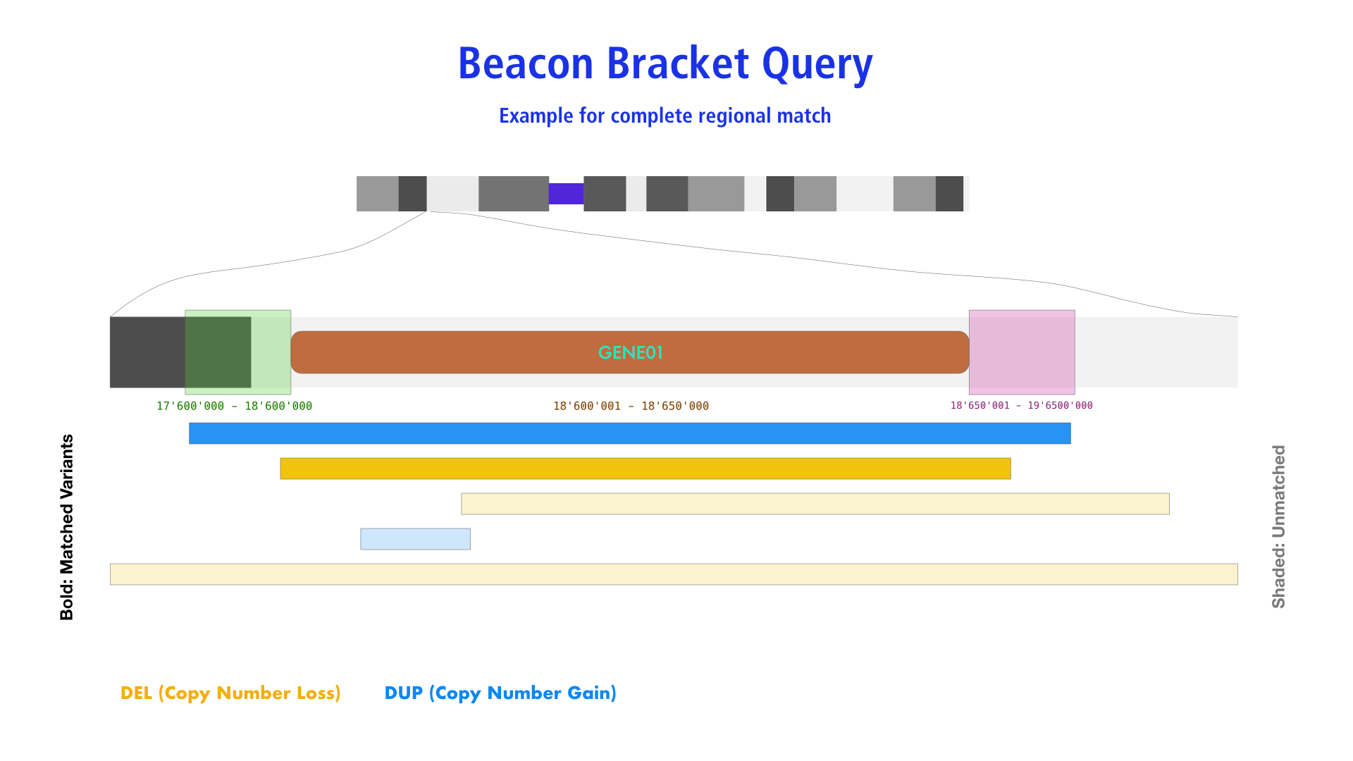 Beacon Bracket Query Schema